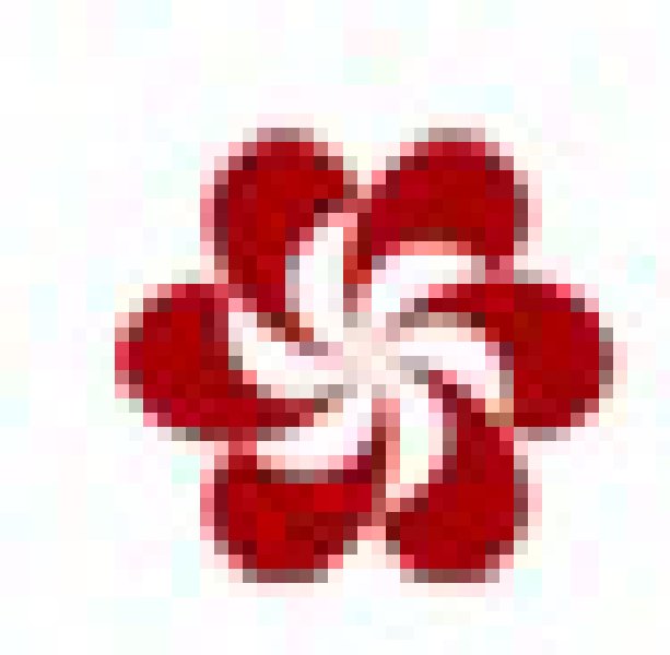 第107屆中國進(jìn)出口商品交易會(huì)(第一期)